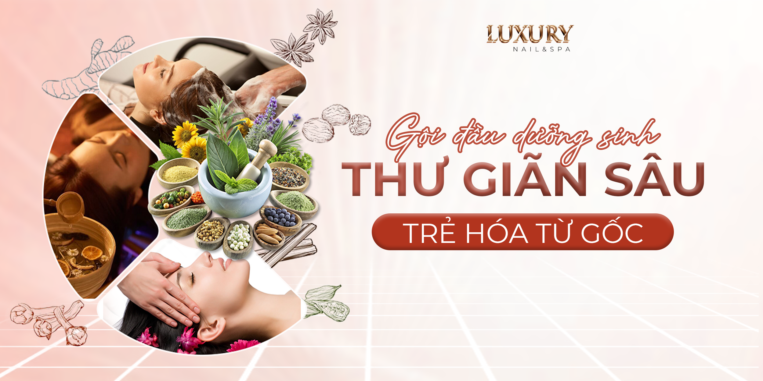 luxury-goi-dau-duong-sinh